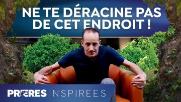 Privé : [ID: ypuy3jfRZhA] Youtube Automatic