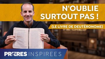 [ID: owCN1wOoEKs] Youtube Automatic