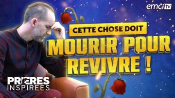 [ID: LZUv_wv54d8] Youtube Automatic