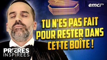 [ID: 6TUEZX2SqUs] Youtube Automatic